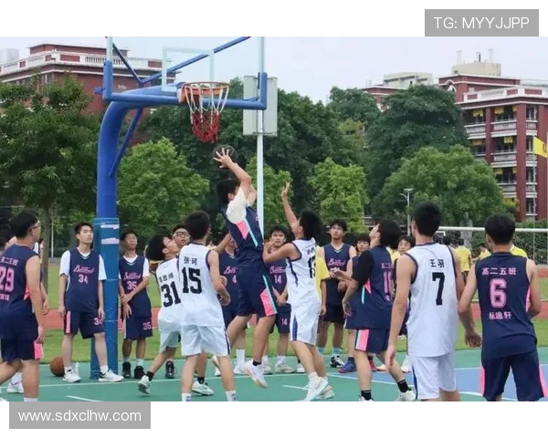 篮球点燃青春梦想描绘拼搏激情展现团队合作与无限可能