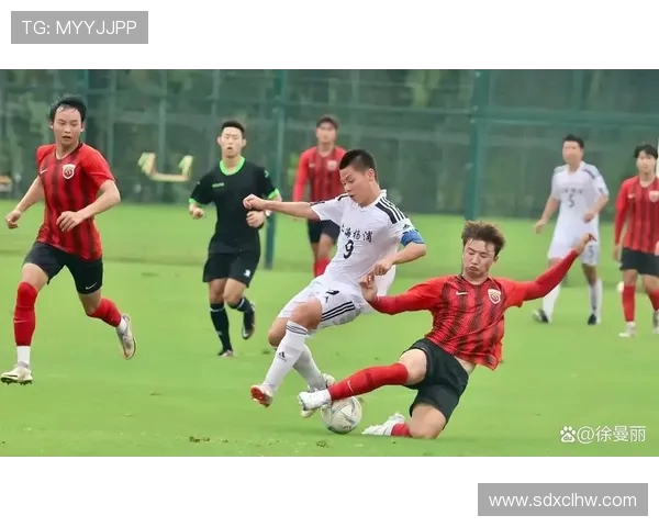 李金羽：从绿茵场到教练席，足球生涯的转型与挑战之路