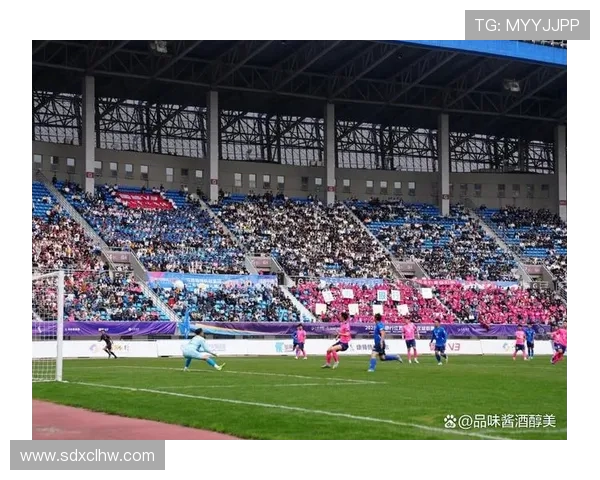 苏超足球赛场新赛季风云变幻各路劲旅竞争格局深度解析全貌呈现录