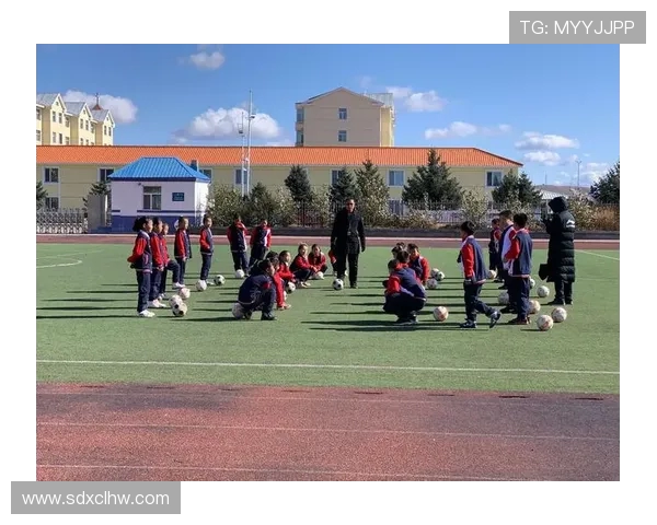 足球的激情与挑战：探索全球最受欢迎运动背后的故事与未来发展