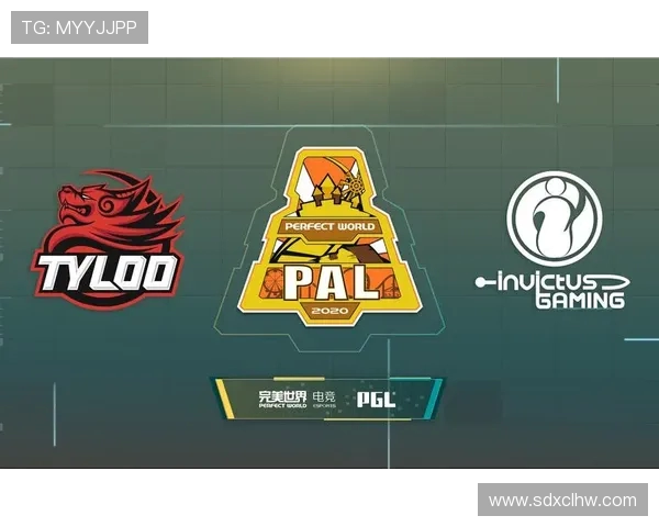 CSGO耐力排名新突破IG战队表现引发热议与关注