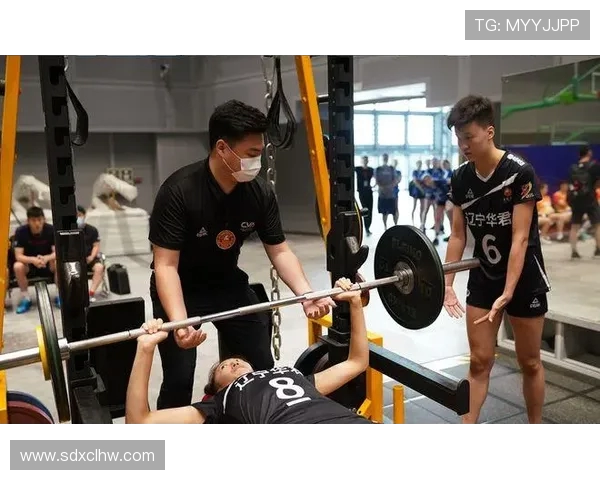 成都排球队耐力提升之路引发热议与关注