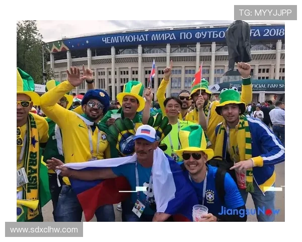 世界杯激战正酣 球迷热情高涨 各国豪强力拼荣耀与梦想 世界杯激战正酣 球迷热情高涨 各国豪强力拼荣耀与梦想